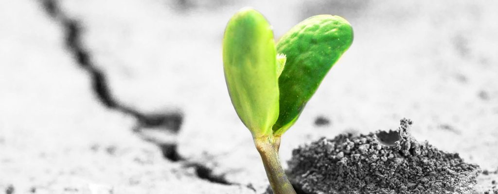 Read more about the article אז מה הקשר בין אי ההצלחה שלנו לממש את ההחלטות לשנה החדשה ולחוק הראשון של ניוטון?